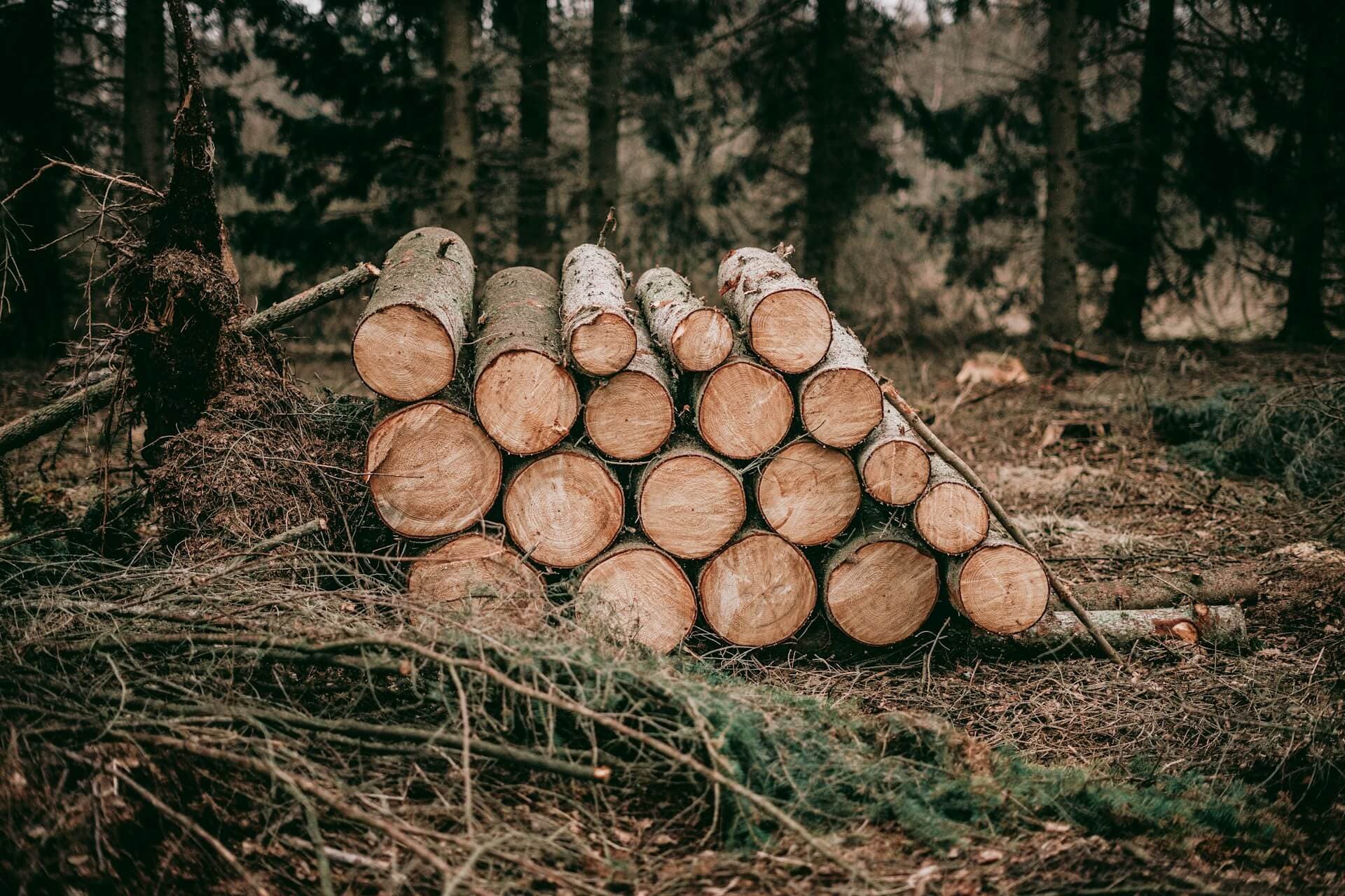 Cover image for We Benchmarked Arc Against Every Major Log Database. The Results Were Brutal.