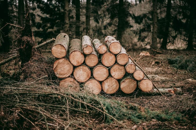 We Benchmarked Arc Against Every Major Log Database. The Results Were Brutal.